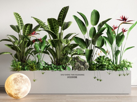  室内造景 花箱 植物组合 植物堆 花池 造景 月球灯3d模型 