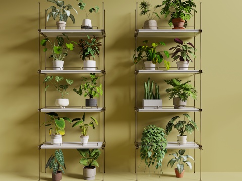  现代绿植盆栽3d模型 