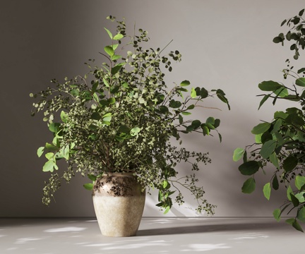 新中式陶罐花瓶摆件 绿植花瓶摆件 绿植盆栽 罐子su模型