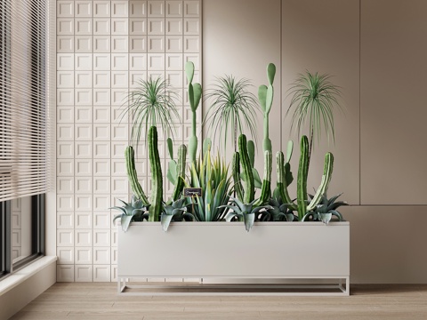  仙人掌 现代花坛 花池 仙人掌 植物堆3d模型 