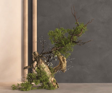  植物造景 景观小品 庭院景观3d模型 