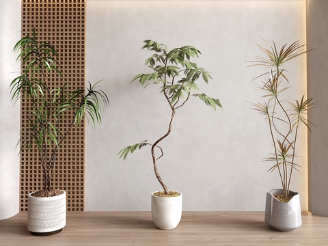  现代中古绿植盆栽 盆景su模型 