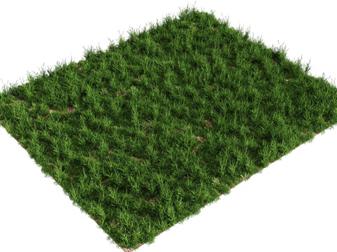  现代植物 草地 草坪 花草灌木 花草 小草 野草3d模型 