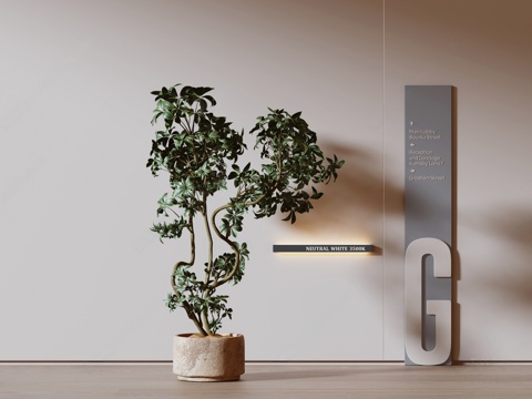  现代盆栽 现代绿植 盆栽 鹅掌柴盆栽 植物花盆 壁灯 电梯导3d模型 