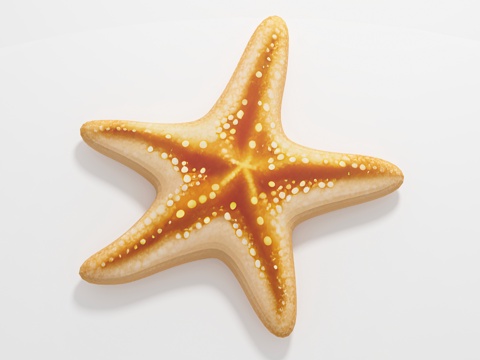  海星 海洋生物 标本样品 展览展示 科普教育 手办公仔 玩具3d模型 