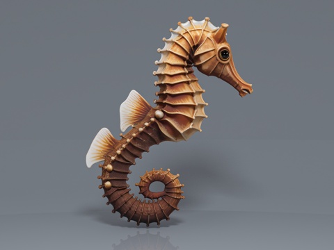  海马标本海洋生物 科普教育 展览展示 雕塑摆件 手办玩具 饰3d模型 
