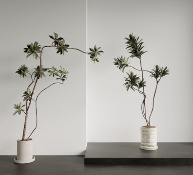  绿植 中古风绿植盆栽 盆景 树su模型 