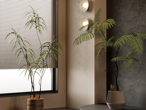  绿植 中古风绿植盆栽 盆景 树3d模型 