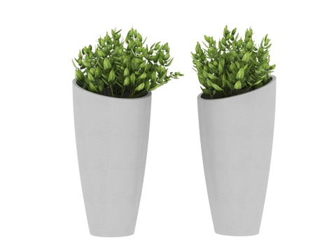  植物 盆栽3d模型 