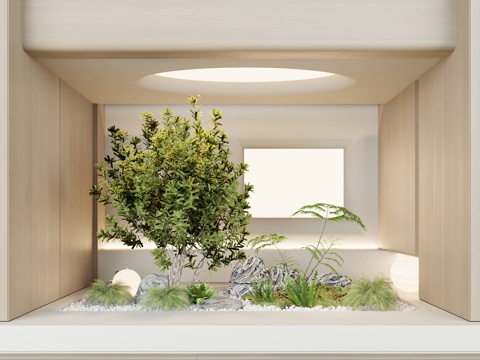  现代景观 室内景观 园林景观 景观造景 绿植景观su模型 