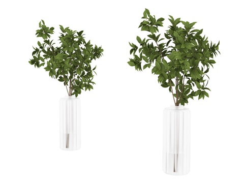  植物 盆栽3d模型 