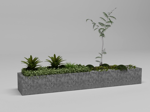  景观盆栽3d模型 