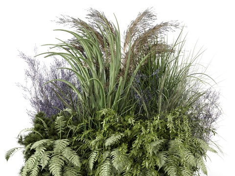  花草 灌木丛3d模型 