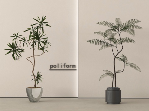  盆栽 盆景 植物 绿植3d模型 