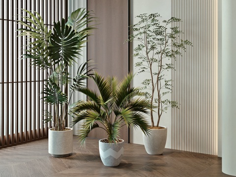  现代绿植盆栽3d模型 