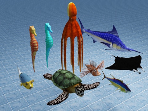  海马 海鱼 海龟 乌龟 海洋生物 动物3d模型 