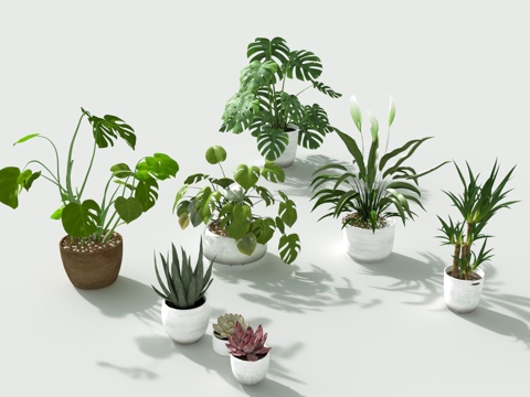  绿植花草鲜花盆栽绿植3d模型 