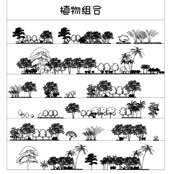  树木植物合辑2025cad施工图 