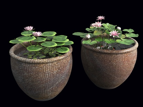  水缸荷花池 鱼池 水缸荷花池 室内景观水缸 中式景观小品 水3d模型 