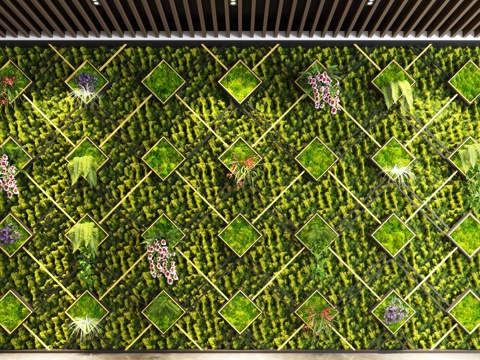  现代植物墙 植物造景 苔藓 景观墙su模型 