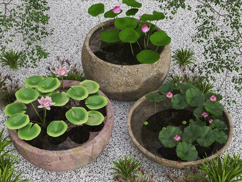  水缸荷花池 鱼池 水缸荷花池 室内景观水缸 中式景观小品 水su模型 