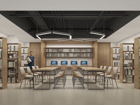  现代办公阅览室 现代学校阅览室3d模型 