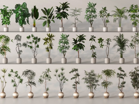  盆栽 盆景 绿植 植物3d模型 