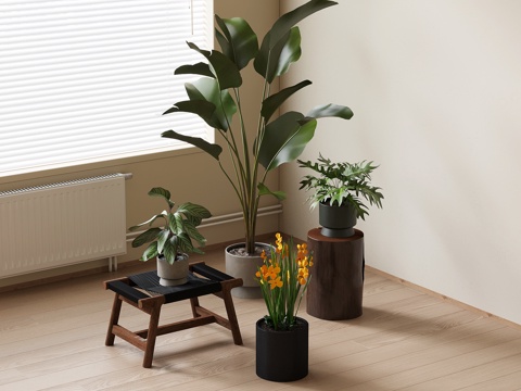  绿植盆栽 现代绿植 花盆 盆栽 落地盆栽su模型 