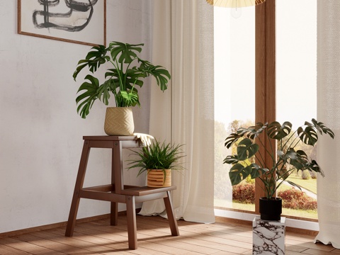  绿植 现代绿植 植物 龟背竹 盆栽盆景3d模型 