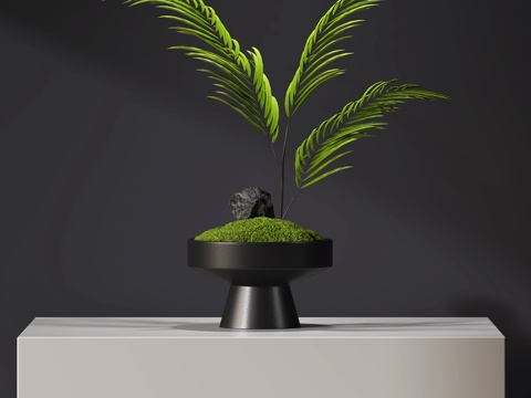  现代绿植苔藓盆景3d模型 