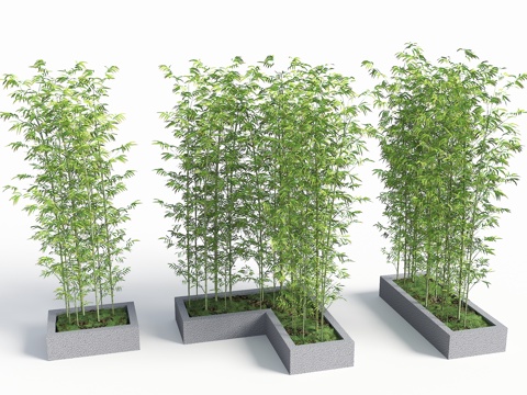  现代竹子 竹子盆栽 景观竹 园艺竹子 中式竹子景观 竹子小品su模型 