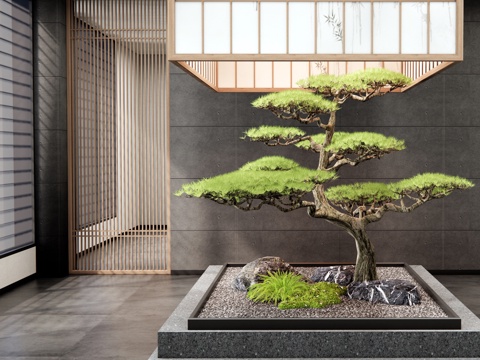  新中式室内景观 松树 迎客松 景观石 庭院小品3d模型 