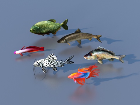  鱼 淡水鱼 海鱼 动物 游戏动物3d模型 