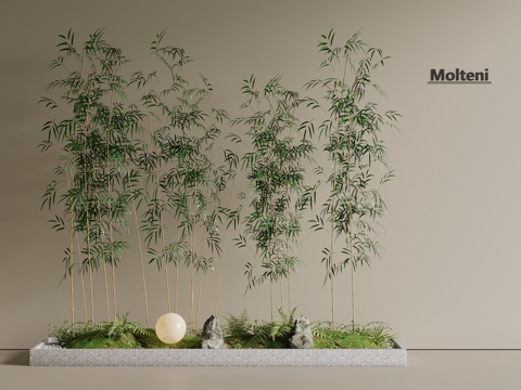  竹子 竹林 景观林3d模型 