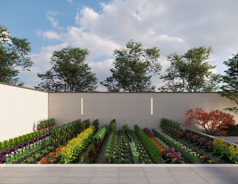  蔬菜农作物 菜园 菜地 蔬菜 瓜果蔬菜 庭院菜地3d模型 