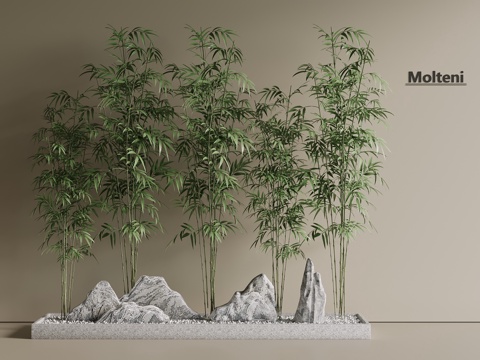  竹子 竹林 景观林su模型 