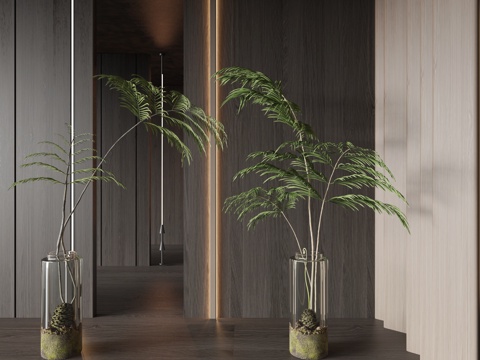  现代绿植花瓶3d模型 