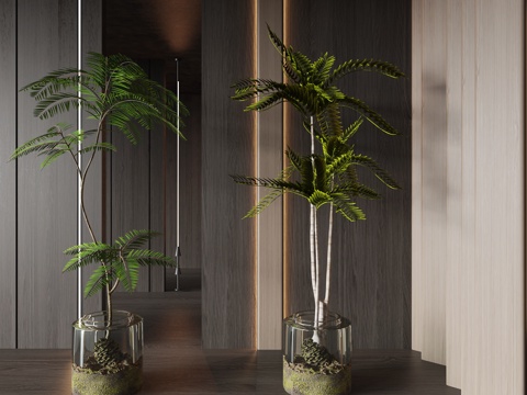  现代绿植盆栽3d模型 