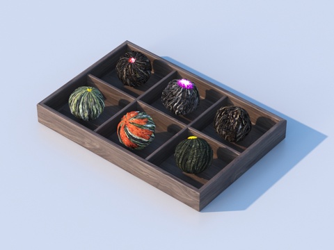  托盘 茶叶su模型 