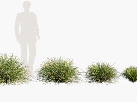  花草 草丛3d模型 