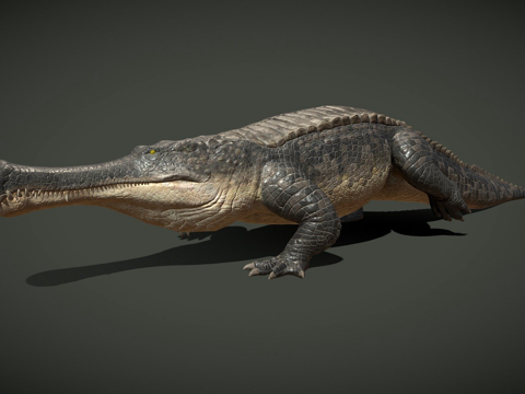  帝鳄3d模型 