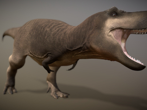  霸王龙3d模型 