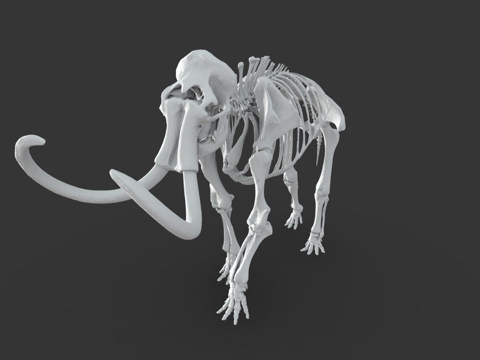  原始猛犸象3d模型 