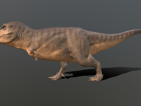  霸王龙3d模型 