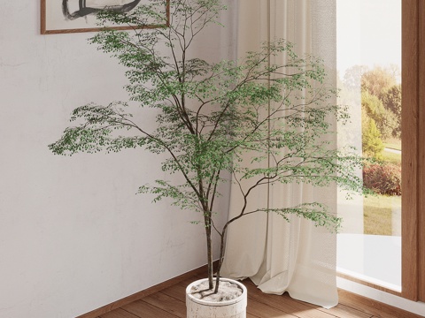  绿植 现代绿植 植物 盆栽3d模型 