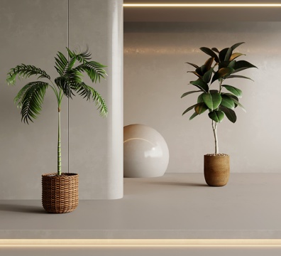 盆栽绿植 中古风绿植 盆栽 盆景 植物3d模型 