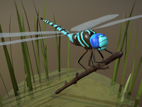  藍(lán)蜻蜓3d模型 