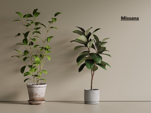  绿植 盆栽 多肉 绿萝 松树 罗汉松 花盆3d模型 