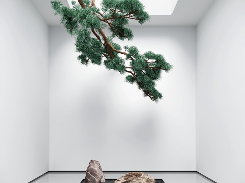  禪意天井景觀 景觀石 松樹(shù) 室內(nèi)景觀 景觀造景3d模型 