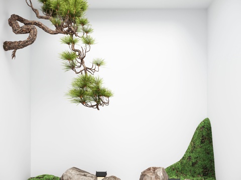  禪意天井景觀 景觀石 松樹(shù) 室內(nèi)景觀 景觀造景3d模型 